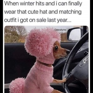 FB_IMG_1678221451151.jpg