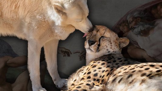 ezgif.com-gif-maker (13).jpg