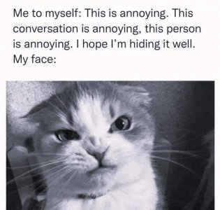 FB_IMG_1678313878703.jpg