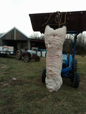 hog time.jpg