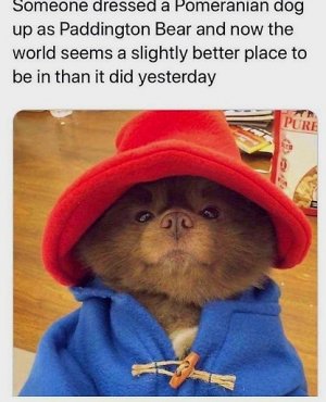 dressed.jpg