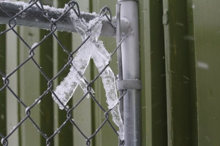 ice cross.jpg