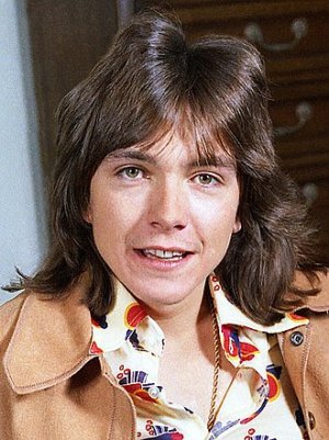 330px-David_Cassidy_6_Allan_Warren_(cropped).jpg