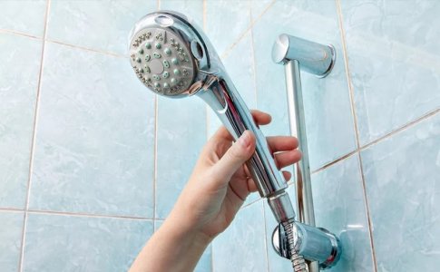 shower head.jpg shower head.jpg