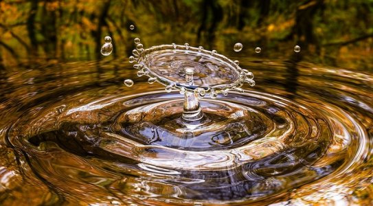 ripplesplash.jpg