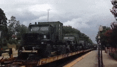 SelfreliantHomelyGrackle-max-1mb.gif