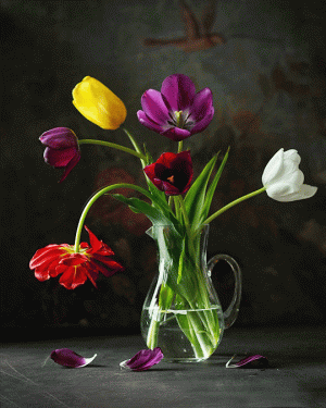 tumblr_b0a0e3a299fa66761f4d717bc5622cf3_27650e9b_540.gif