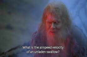 velocity of sparrow.jpg