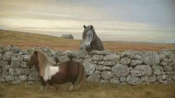 moonwalking horse.gif