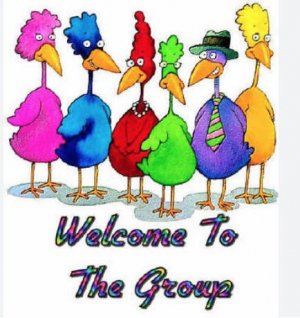 Welcome. group duck.jpg