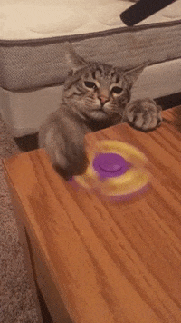200w.gif