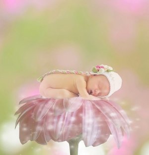 babyonflower.jpg