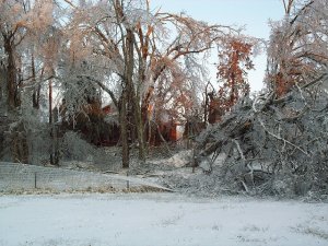 ice storm.jpg