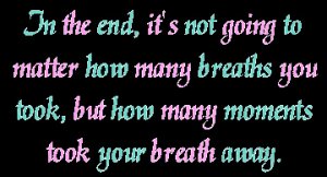 in-the-end-its-not-going-to-matter-how-many-breaths-you-took-how-many-moments-took-your-breath-a.jpg