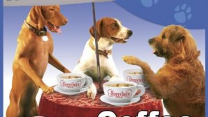doggies.jpeg