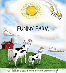 funny_farm.jpg