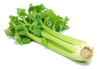 celery.png