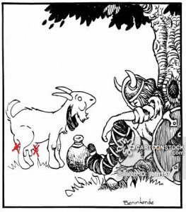 vikingoat.jpg