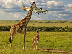 comedy-wildlife-photography-awards-2017-fy-8.jpg