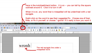 OOAutoSpellcheck-1.png