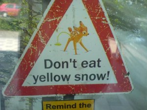 _yellow snow.jpg