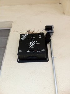 birdnest.JPG