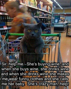 wine cat.png