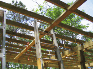 ladder3.gif