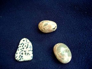 dalmatian&leopardstone.jpg