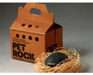 pet rock.jpg