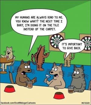 FB_IMG_1676694490264.jpg