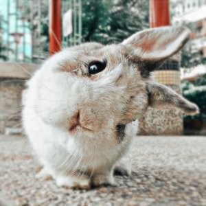 9b3e754794ee0c9ee19ad9a19f87d094[1].jpg