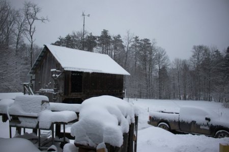 ssnowy.JPG