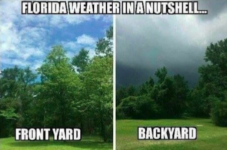 from Florida.jpg