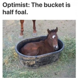 8F3260F3-A33B-4133-8EFA-CC4AC3BFD596.jpeg