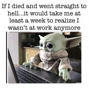 FB_IMG_1678739396566.jpg
