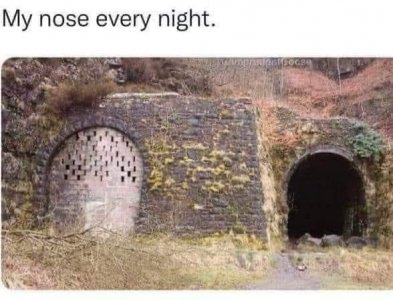 B209FD64-ACA8-430C-86A8-DA78BD02114D.jpeg