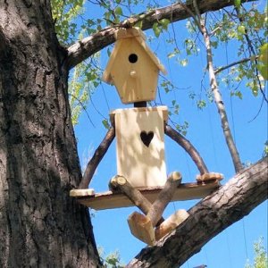 Birdhouse @.jpg