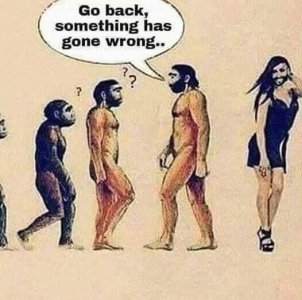 gone wrong.jpg
