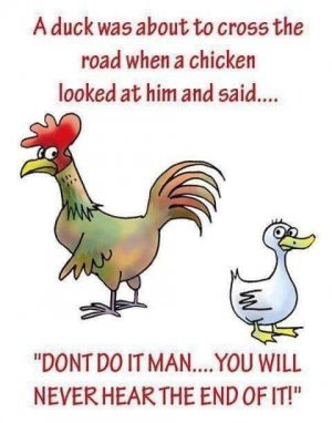 chicken crossing the road.jpg