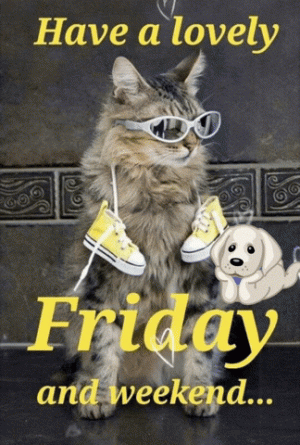 bf6deb92e79f94445bab482663a8d8c6[1].gif