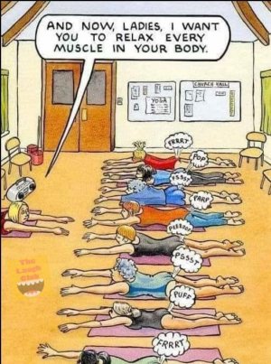 ladies farts.jpg