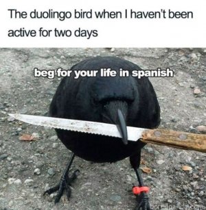H.JPG
