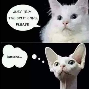 FB_IMG_1679184951670.jpg