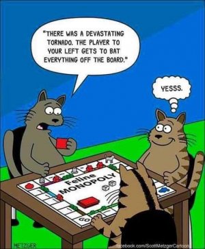 FB_IMG_1679185024696.jpg
