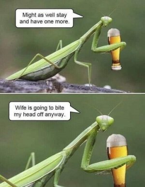 mantis.jpg