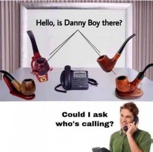 336531170_774140757406423_8553610548177038518_n.jpg