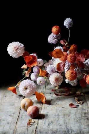 tumblr_915cf07d8b9b2d3d2e0b96e76c4924cb_1357a163_1280.jpg