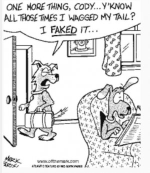 SF tail.jpg