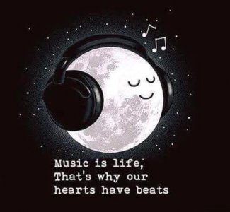music is life.jpg